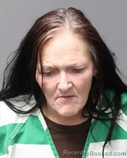 Booking photo from Polk County, Iowa