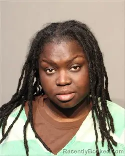 Mugshot of NANCY NOEL STEPHEN WURJU