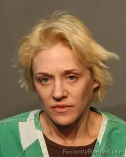 Mugshot of ALICIA ANNE MARIE OFELT