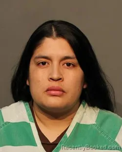 Mugshot of JESSICA VITERI RENGIFO