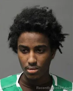 Booking photo from Polk County, Iowa