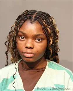 Mugshot of KRISLYNNE LOVE CHRISTOPHER