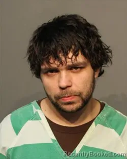 Mugshot of VINCENT DAVID HAYEK