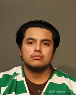 Mugshot of JULIAN GONZALES MORA