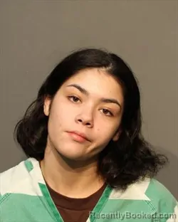 Mugshot of MARIANA LOUISA GUTIERREZ SANCHEZ