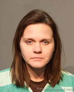 Booking photo from Polk County, Iowa