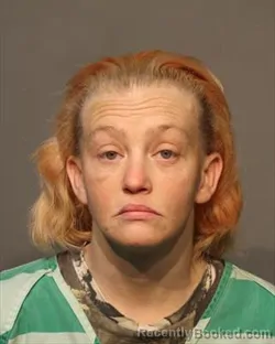 Booking photo from Polk County, Iowa