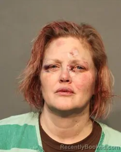 Mugshot of JULANNE LEE WILLIAMS