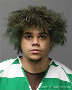 Mugshot of NIGEL THOMAS JAMES MCCUDDIN