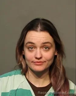 Booking photo from Polk County, Iowa