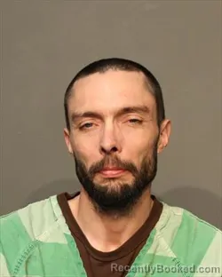 Mugshot of DAVID STERLING LARSEN