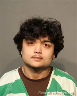 Mugshot of ADRIAN MICHAEL LILLIE