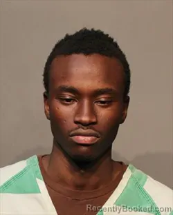 Mugshot of DAVID YOHANN KAT MAGIK