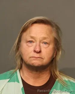 Mugshot of JEANETTE MARIE DYER