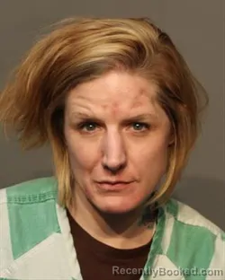 Booking photo from Polk County, Iowa