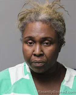 Mugshot of NIKKI MONIQUE COLLINS