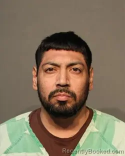 Mugshot of CARLOS JR ALVAREZ