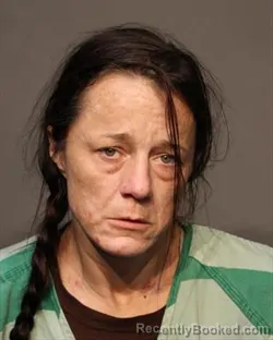 Booking photo from Polk County, Iowa