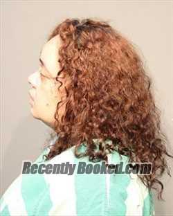 Booking photo from Polk County, Iowa