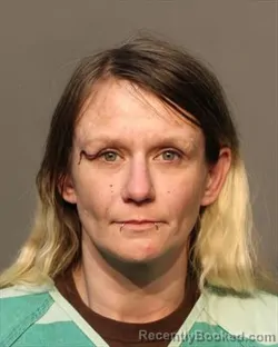 Mugshot of STORMIE NIKKOLE DUNLAP