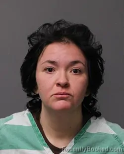 Booking photo from Polk County, Iowa