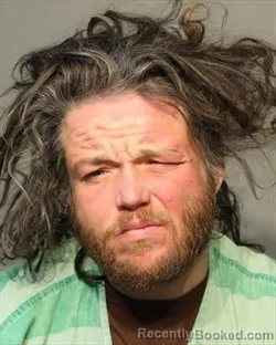 Mugshot of RANDY JOE JR WILLIAMS