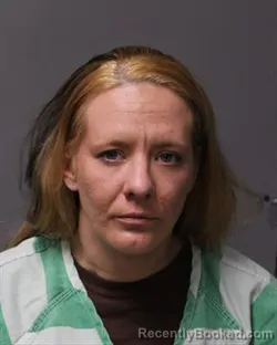 Booking photo from Polk County, Iowa