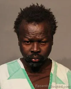 Booking photo from Polk County, Iowa