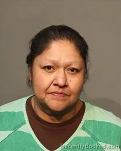 Mugshot of ERICKA JOLENE BURNS