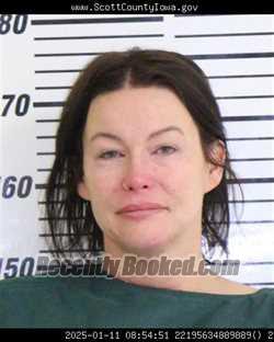 Mugshot of ERICA LOUISE MCMILLAN