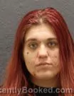 Mugshot of KAITLYN ANN HOLLAND