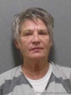 Mugshot of BELINDA GAIL PLUIM