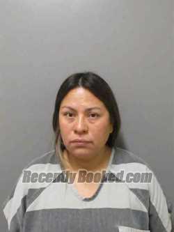 Mugshot of ELVIA LETICIA ALCANTARA-NAVAS