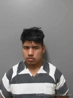 Mugshot of GUSTAVO ADOLFO PATZAN SAMOL