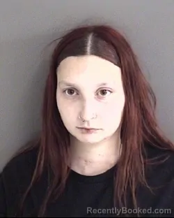 Mugshot of ALLYSON LEE DAVIS