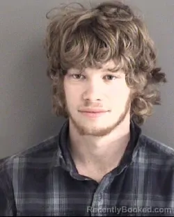 Mugshot of GABE LOUIS VAN WERDEN