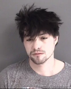 Mugshot of TYLER WESLEY TENHAEFF