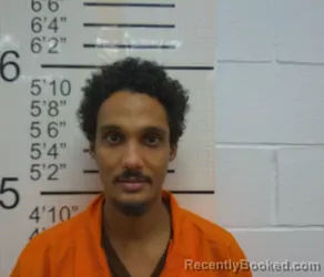 Mugshot of LUIS DAMIAN HERNANDEZ