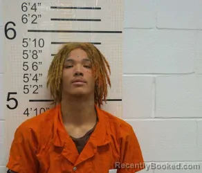 Mugshot of TREYVON MALIKI RYAN MARTIN