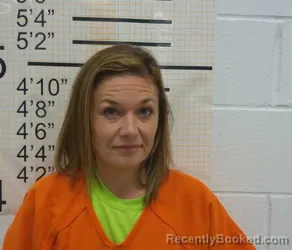 Mugshot of MEGAN JO KINGSLEY-HARGIN