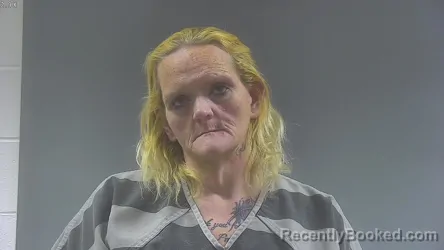 Mugshot of LISA MARIE LANSAW