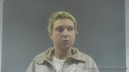 Mugshot of ASHLEY MARIE ALLISON