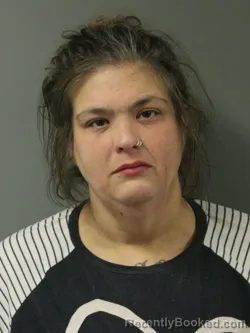 Mugshot of TANYA EILEEN PERRY
