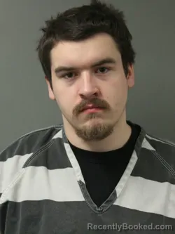 Mugshot of SAGE ALEXZANDER LOVELL