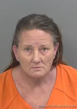 Booking photo from Collier County, Florida