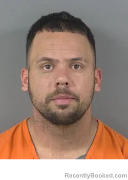 Mugshot of DENIS VEGELESTOPINAN