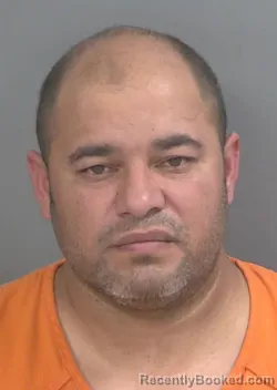 Mugshot of DANIEL ALBERTO OLIVARESFERRER