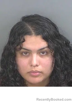 Mugshot of ALEXIS MARIE RAMIREZ