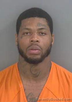 Mugshot of PAUL E WILLIAMS