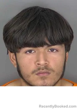Mugshot of FERNANDO GOMEZ